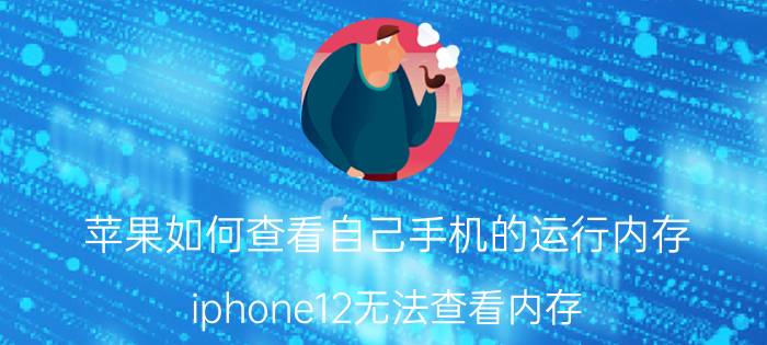 苹果如何查看自己手机的运行内存 iphone12无法查看内存？